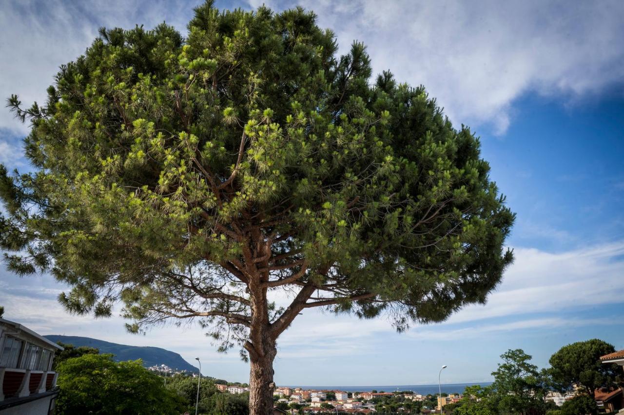 Balconi Del Conero Aparthotel Numana Exteriör bild